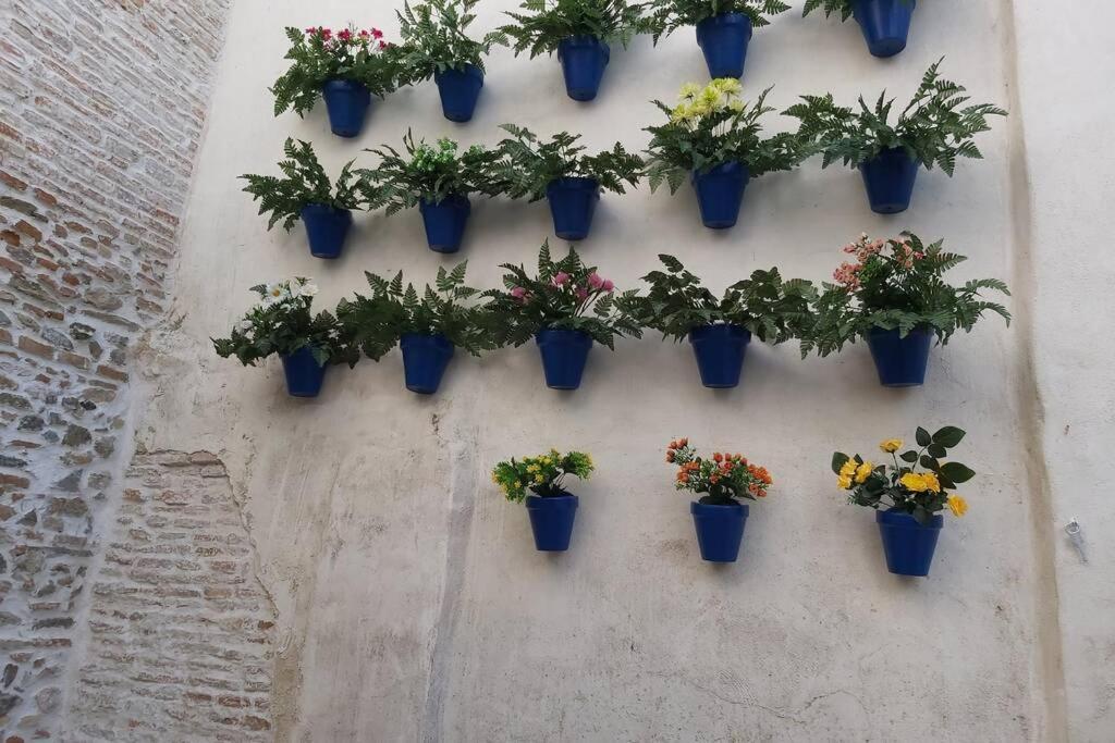 Tgh/ Vital Aza Malaga Centro エクステリア 写真